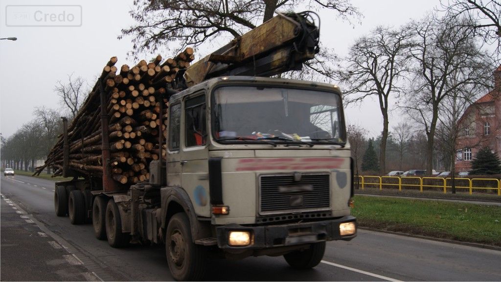 Materiał do pytania: Czy wolno Ci przewozić dziecko powyżej 150 cm wzrostu na przednim siedzeniu w kabinie samochodu ciężarowego?