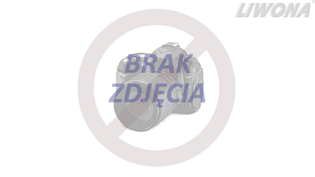 Materiał do pytania: Jaki może być objaw pęknięcia przewodu hamulcowego w samochodzie osobowym?